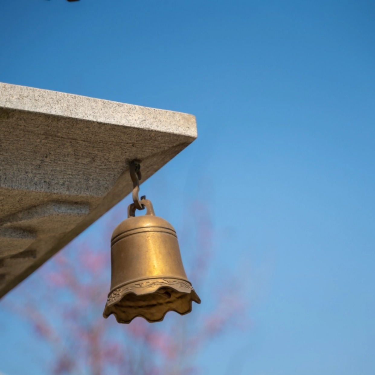 定了！官方已确认：2025年落户社保基数继续执行11396